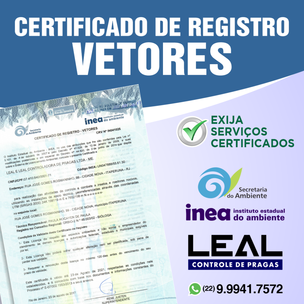 empresa dedetização cupim